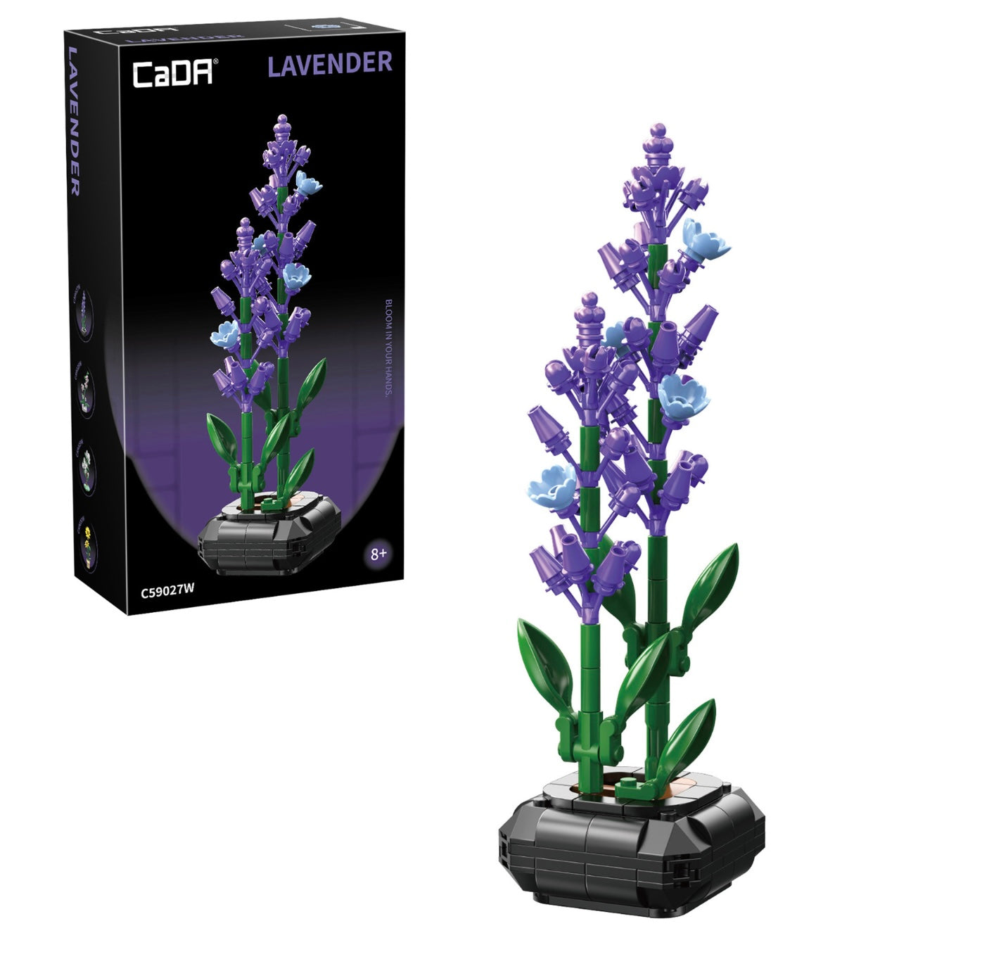 Cada lavender