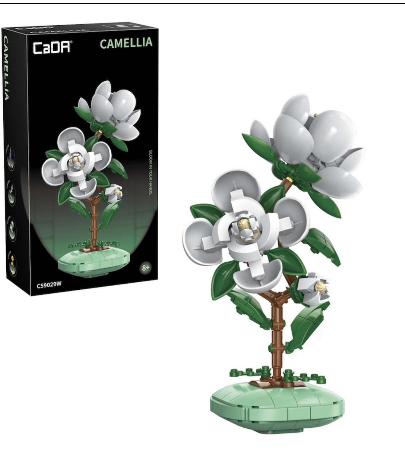 Cada camellia brick flower